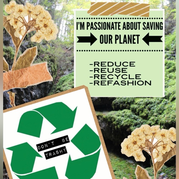 Smoke Free, Dog Friendly Closet - Picture 3 of 7